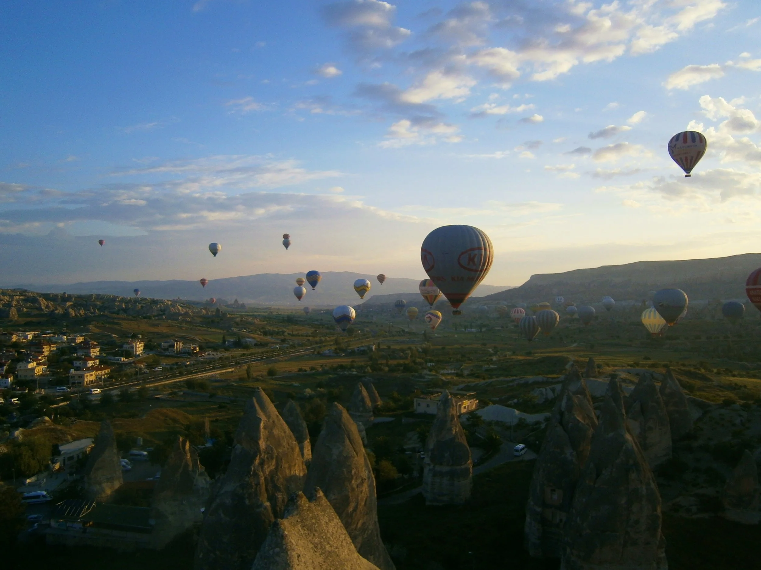 Turkey: I...Just Want To Fly