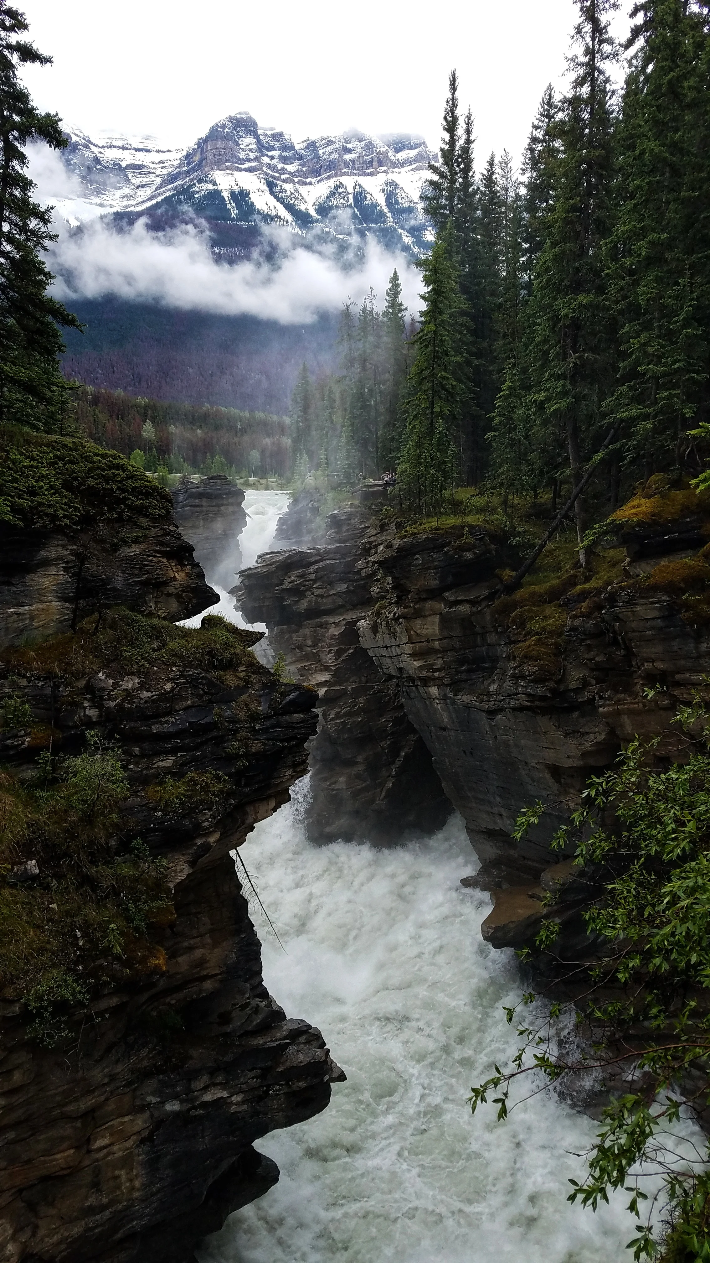 Athabasca Falls, Jasper National Park