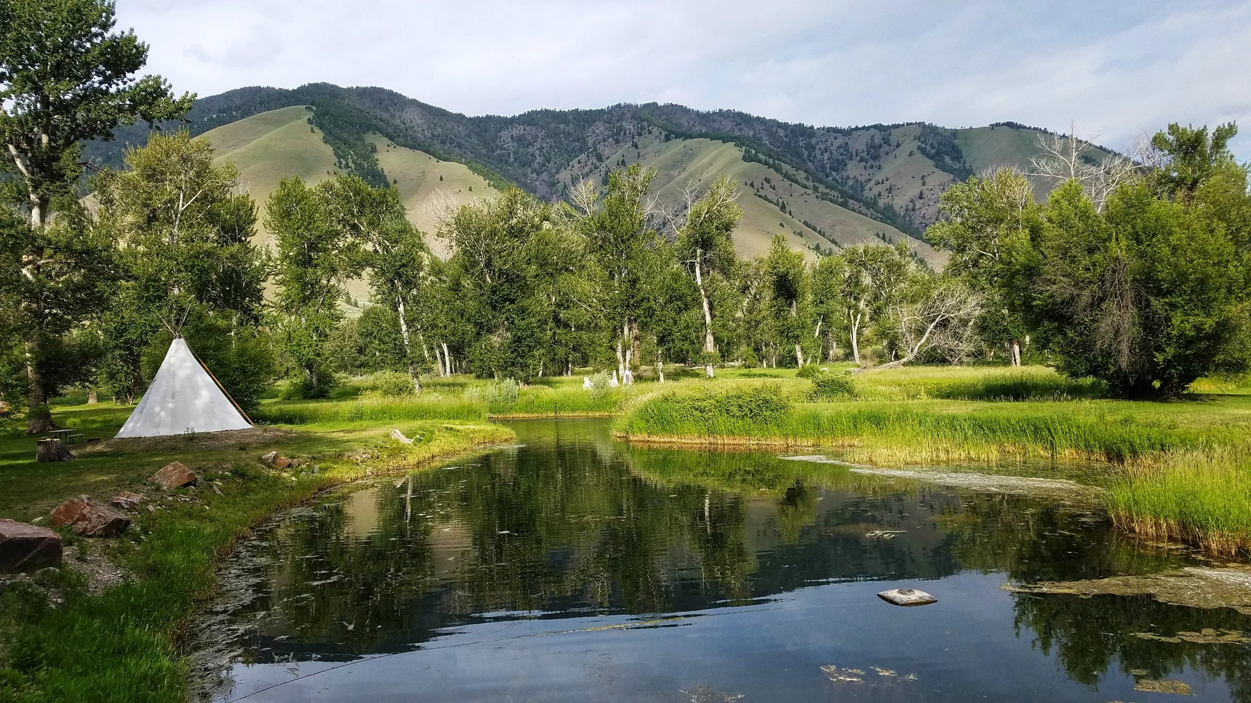Wagonhammer Campground views