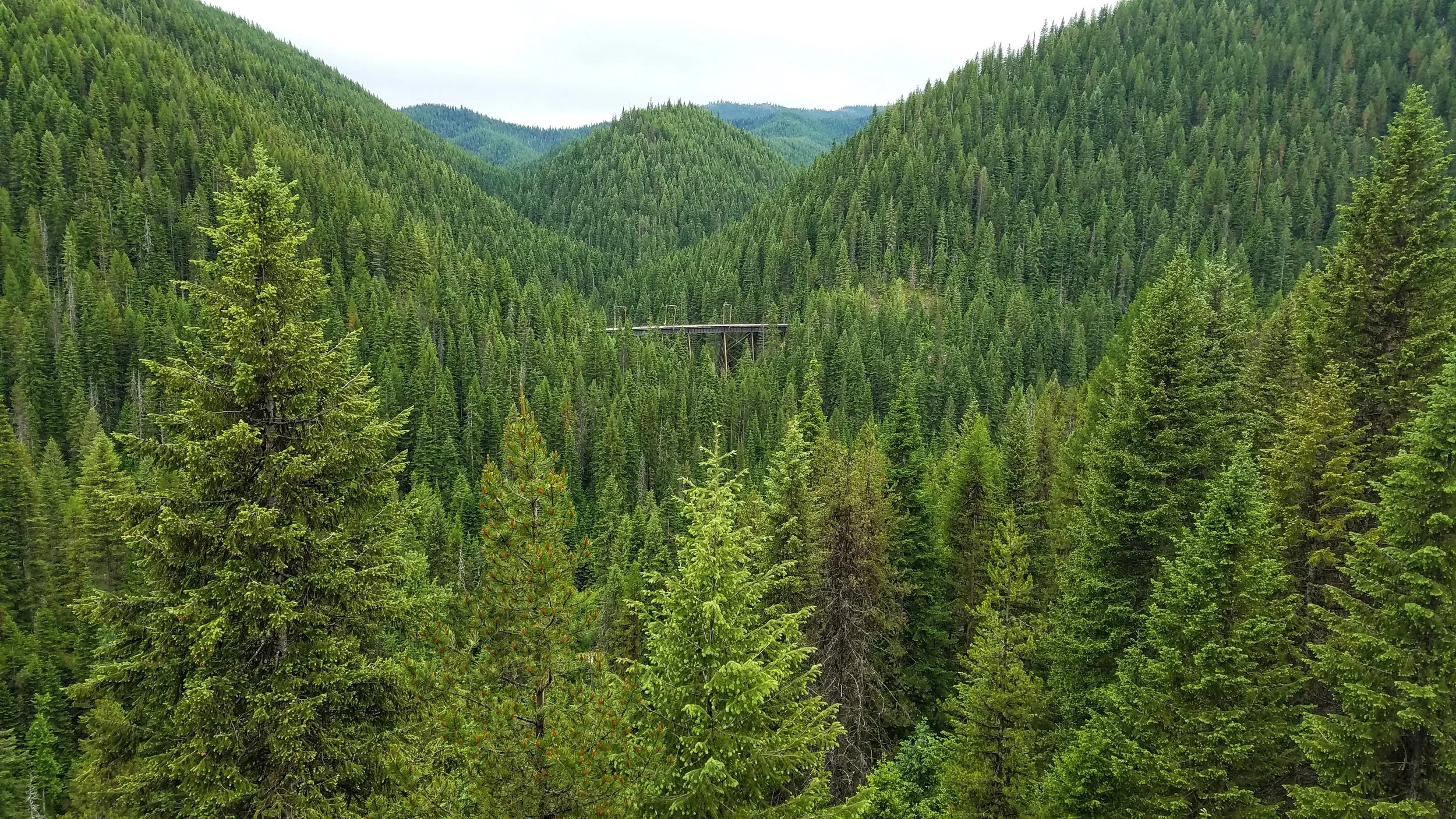 A view from our trestle to the next