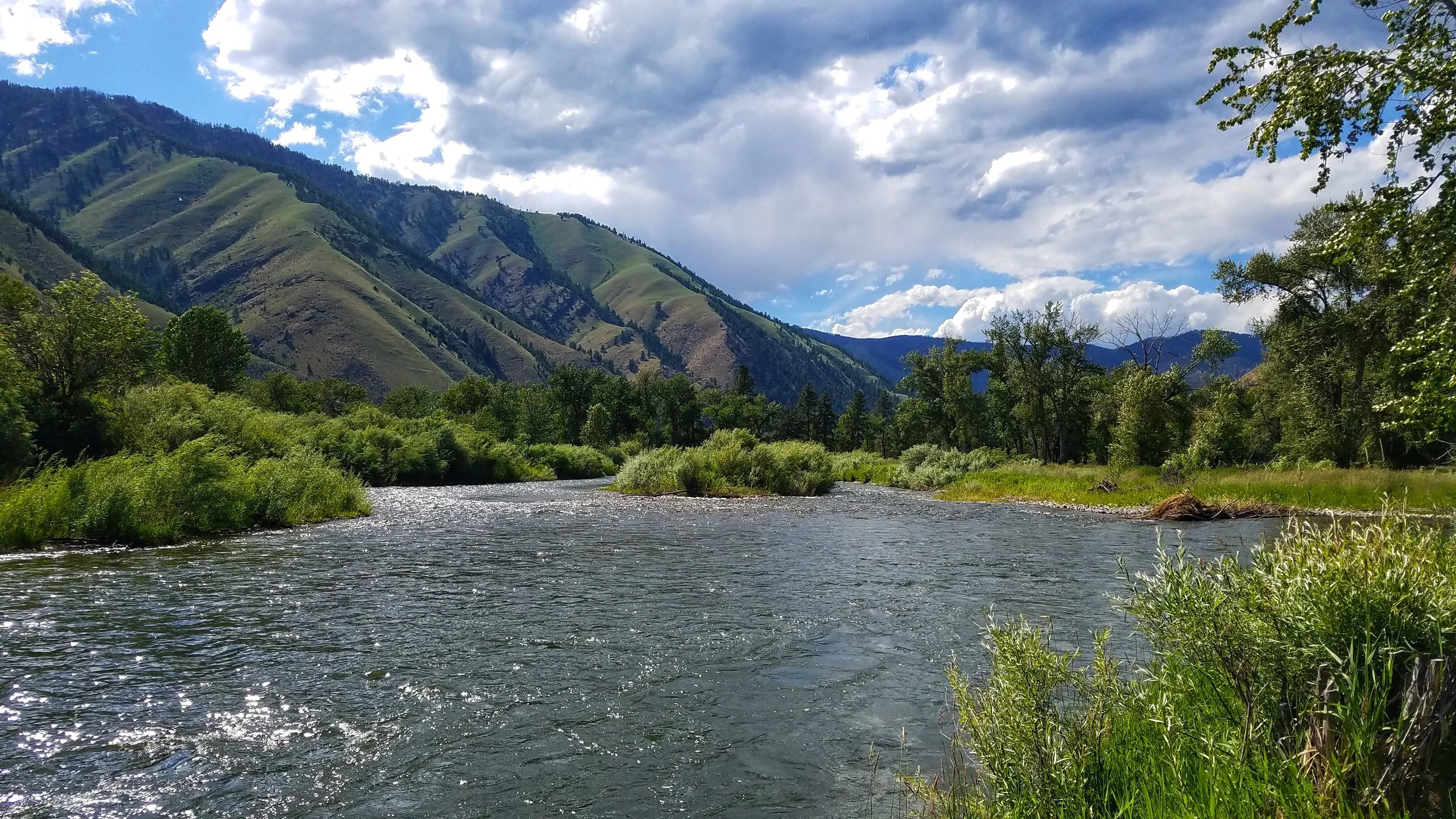 The beautiful views of the Salmon River