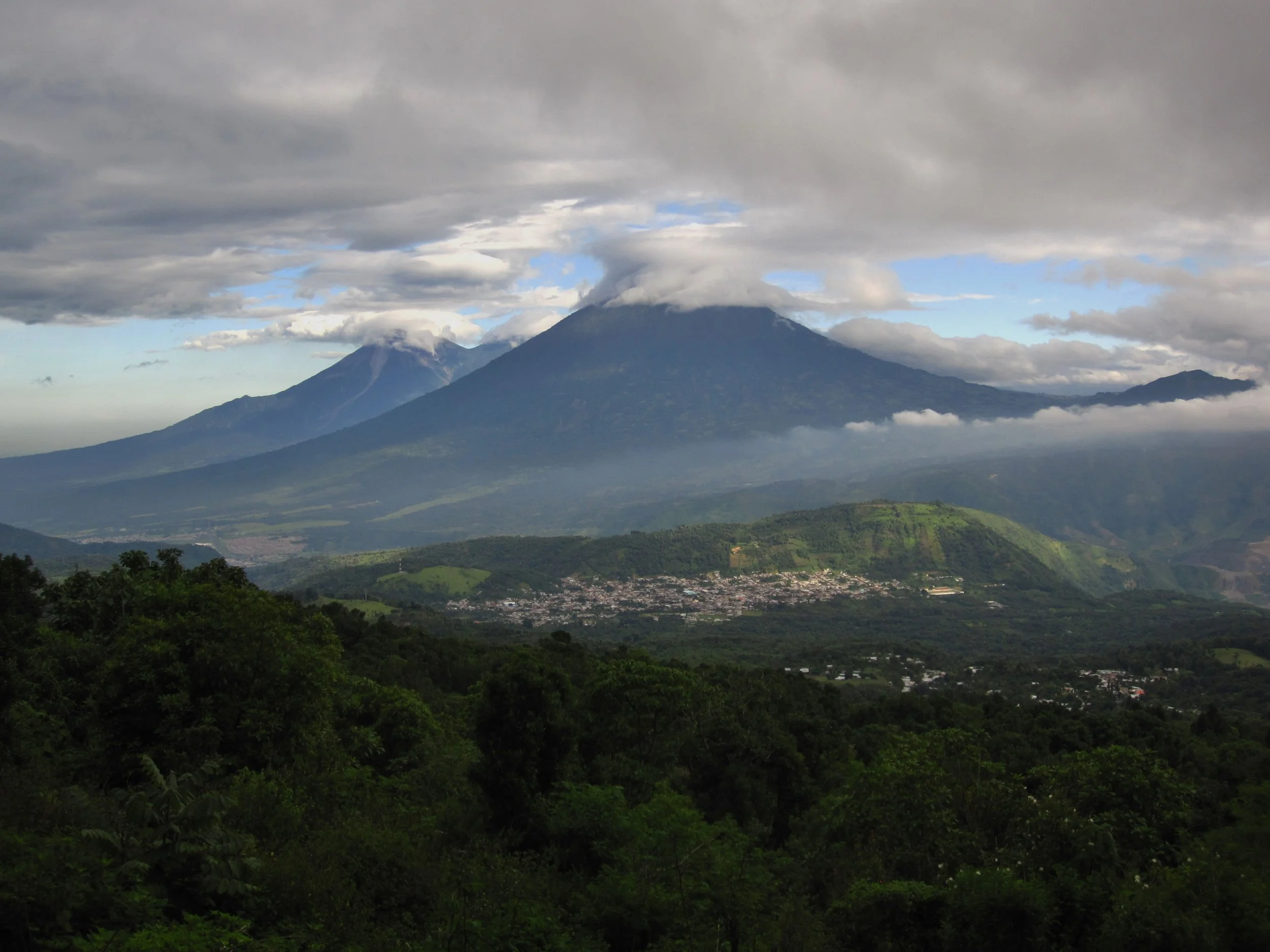 Livin' La Vida Loca!