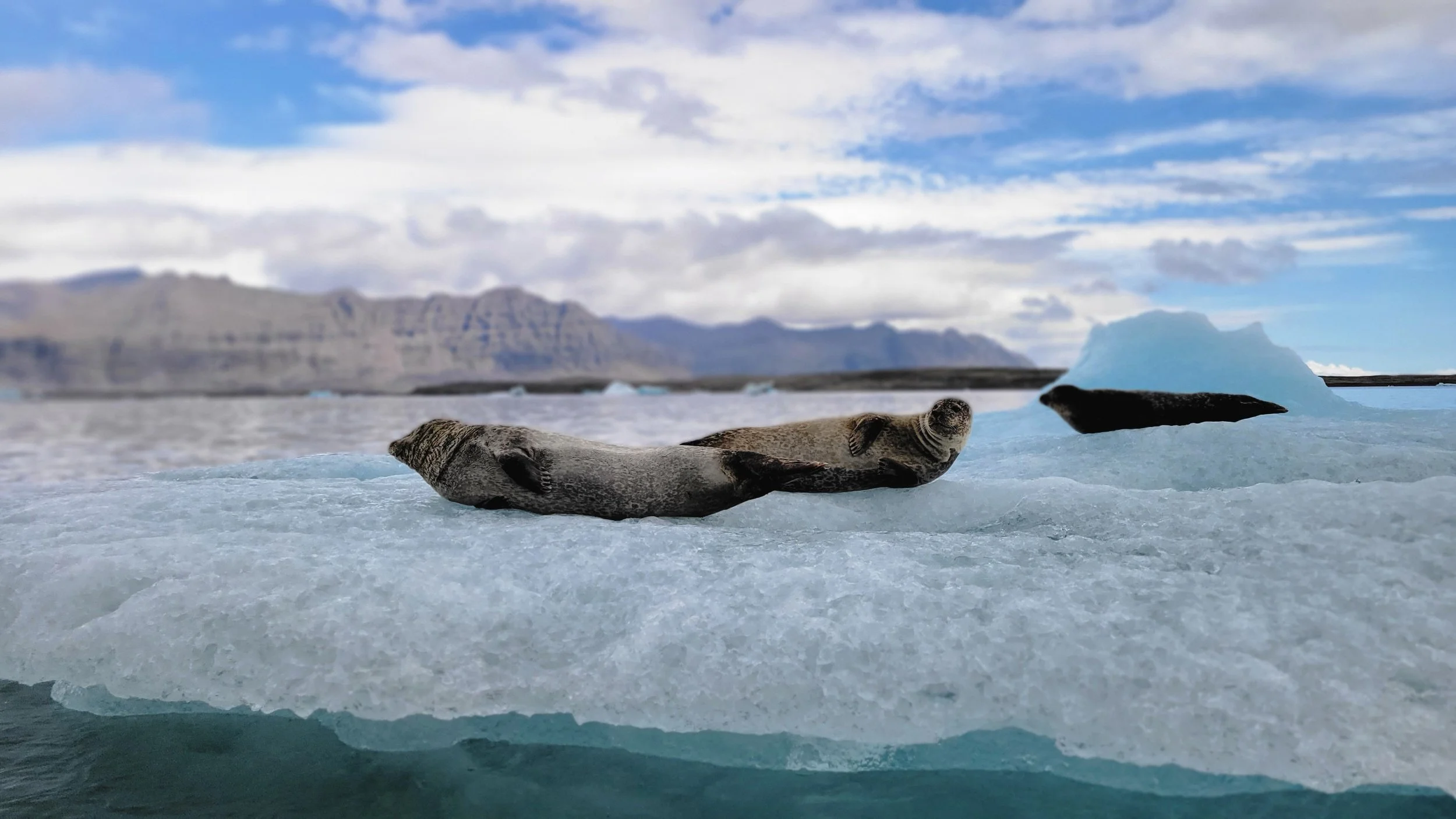 Puffins, Glaciers & Waterfalls: 72 Hours in Iceland