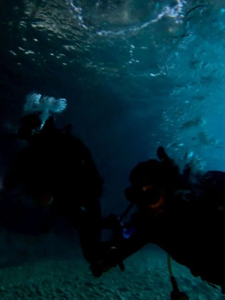 Reid &amp; Chip are officially scuba certified!!💙
While B and I took day trips, R &amp; C signed up for an amazing open water diver course in Dubrovnik. They did 2 dives per day, 3 days in a row plus several hours of e-learning/tests, and they did i