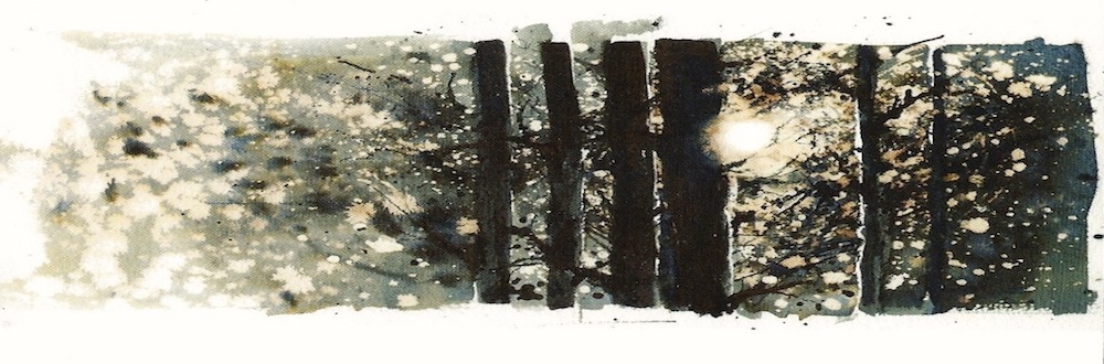 OUT OF WINTER WEB BANNER.jpeg