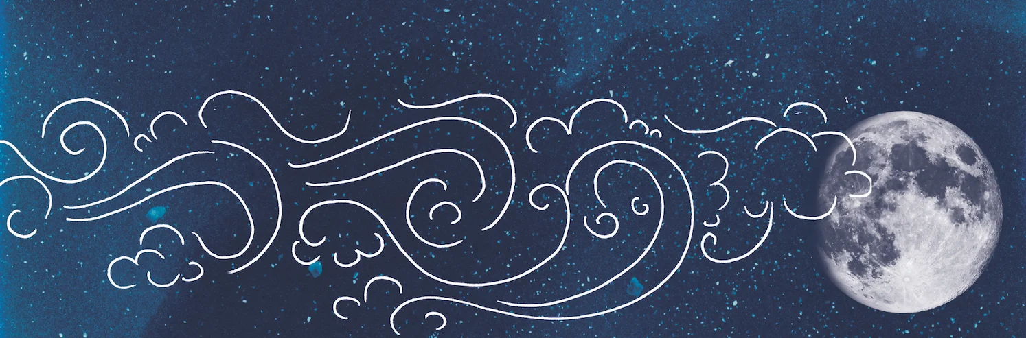 web banner 1 crop resize.jpeg