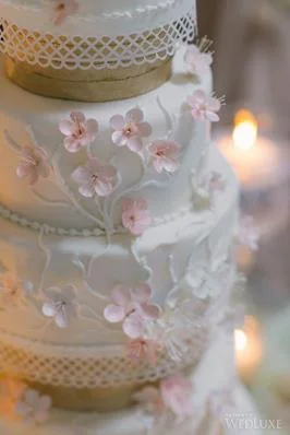 cherry blossom 3.jpeg