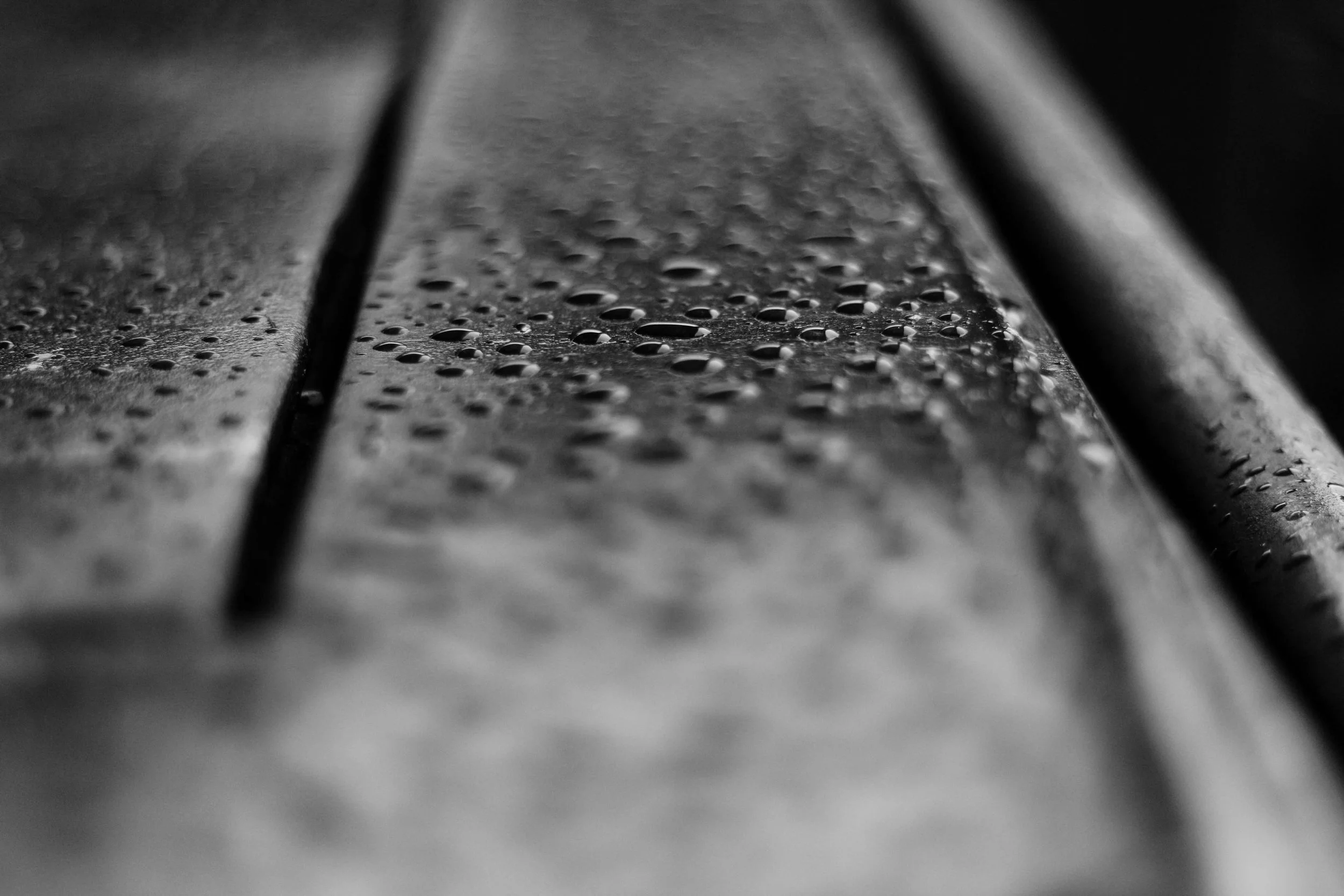 IMG_0436.jpeg