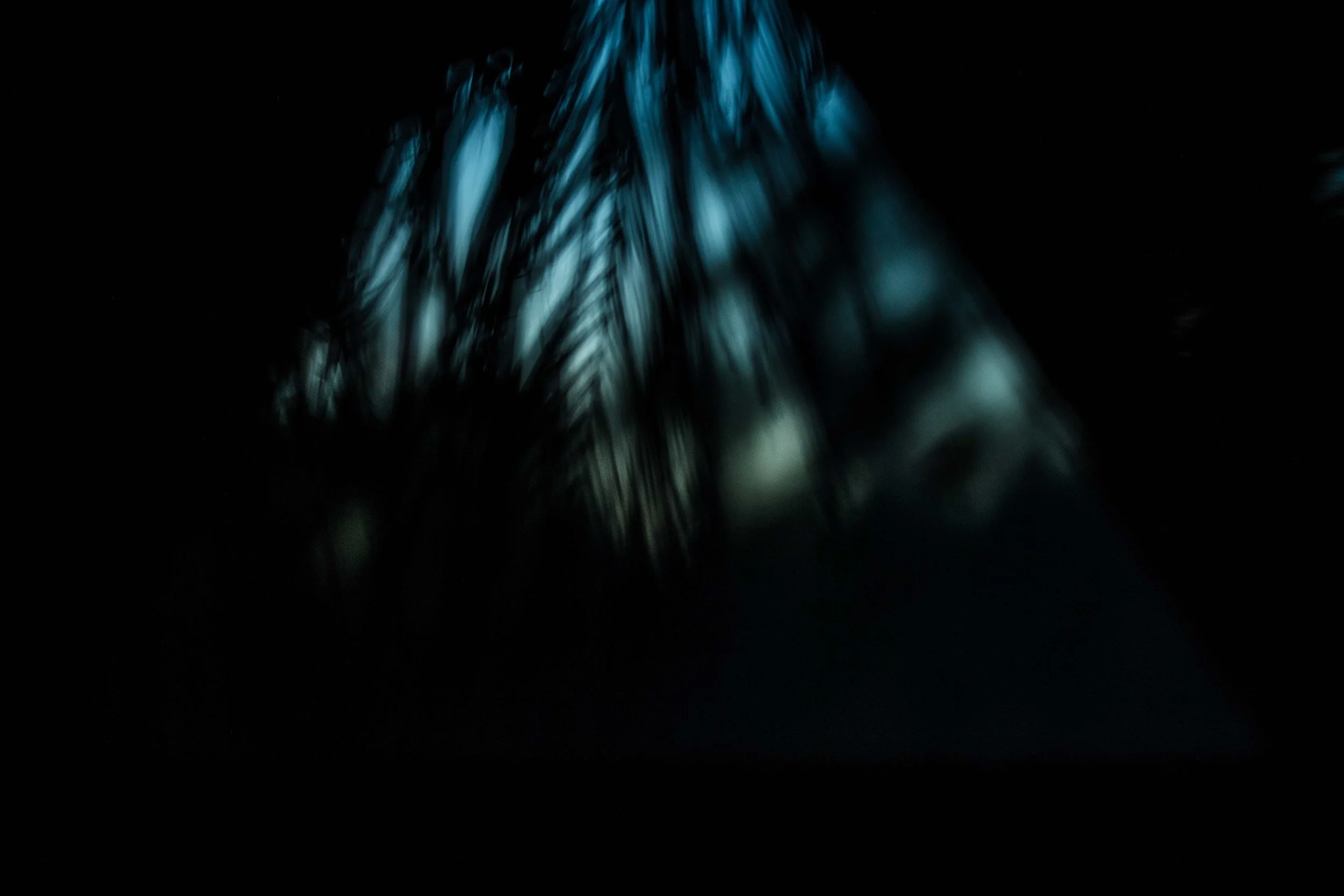 IMG_9610.jpeg