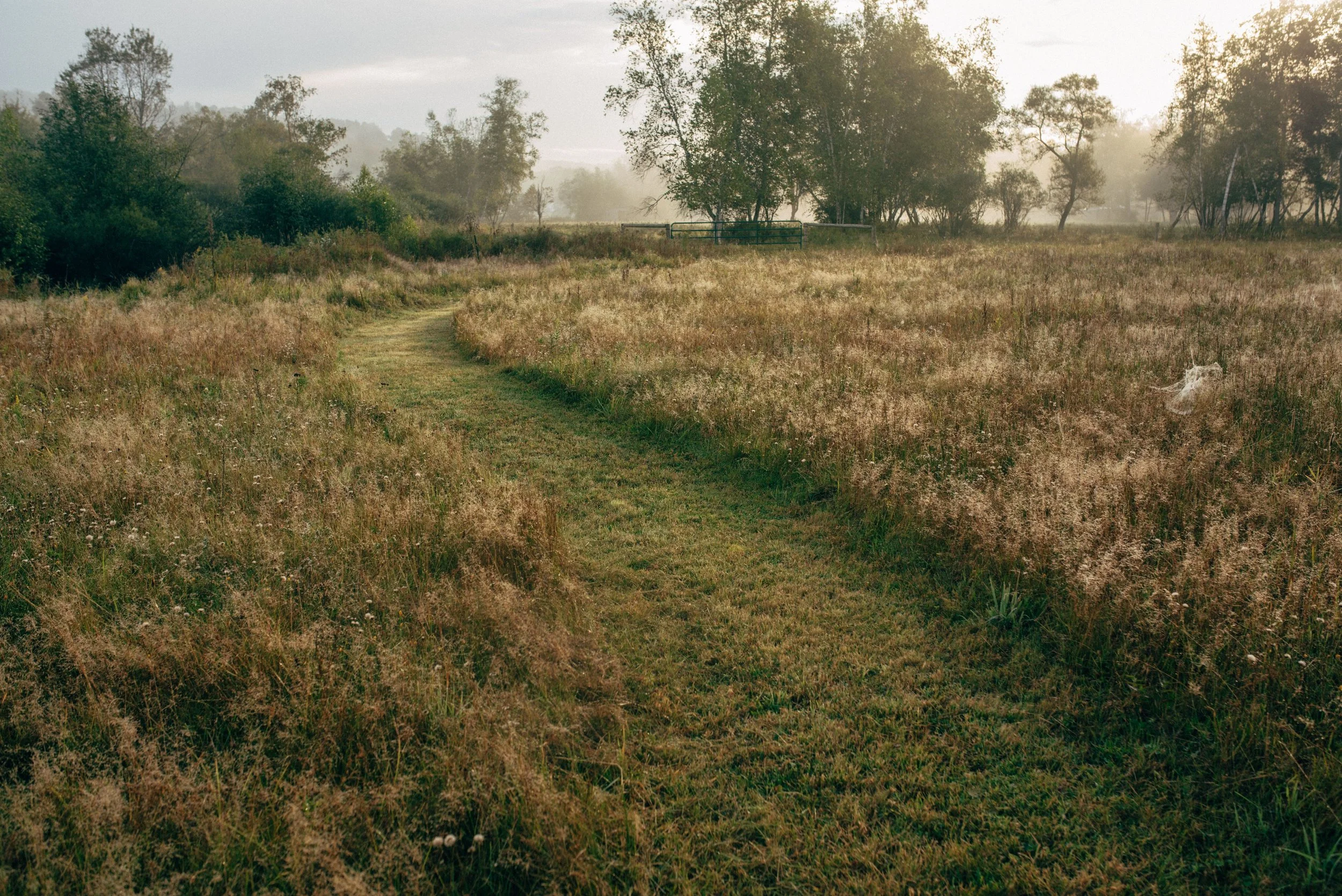 The-Debruce-Fall2017-Content-LWRNCBRN-DIGITAL-0026 copy.jpeg