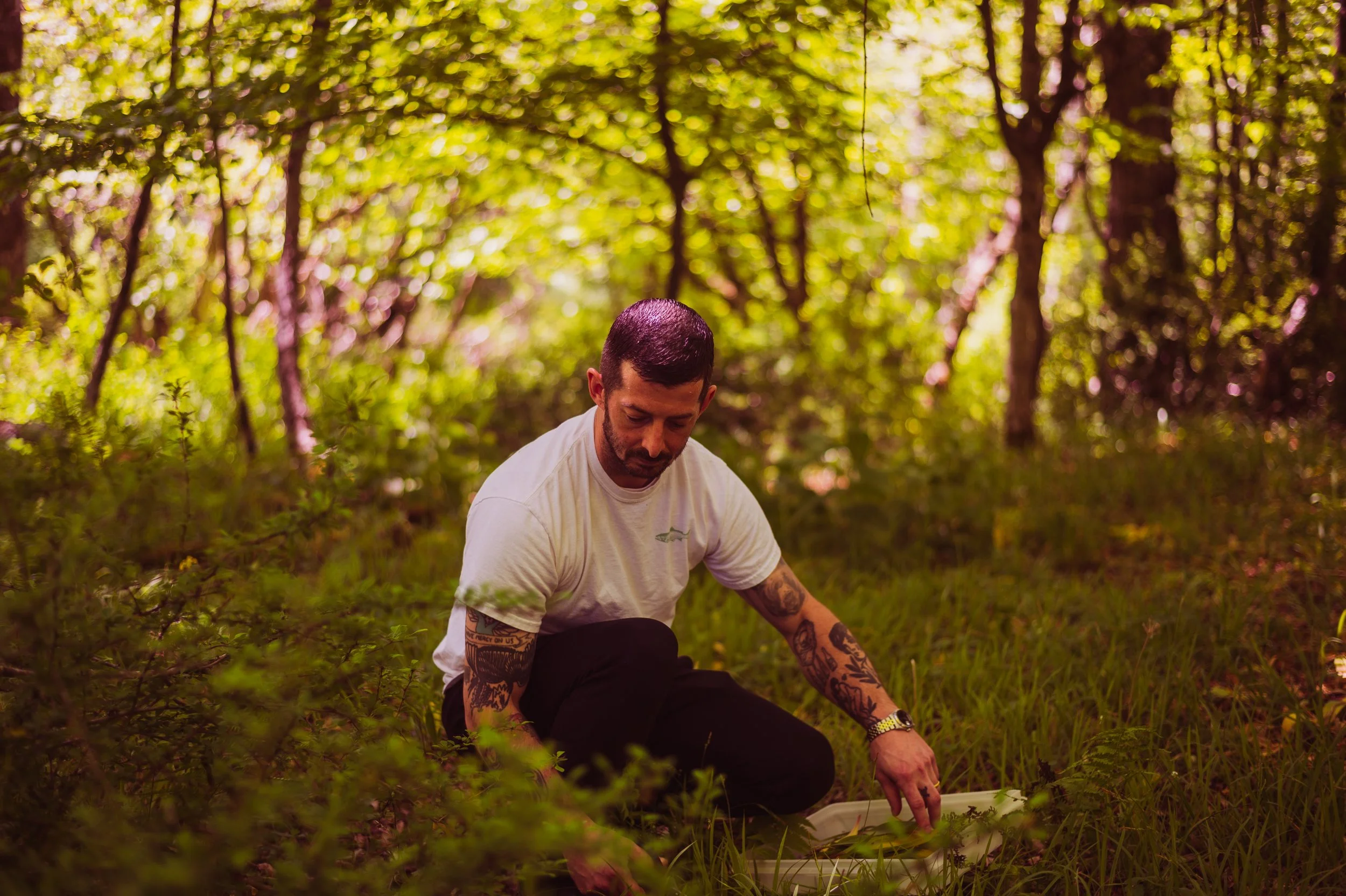 Man foraging in the woods