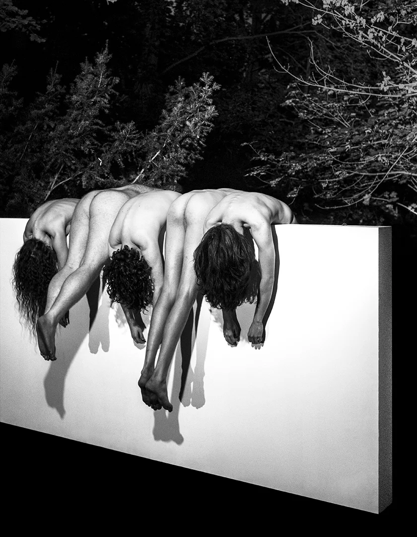 THE PERCH, 2017. Photowork collection of the artist.