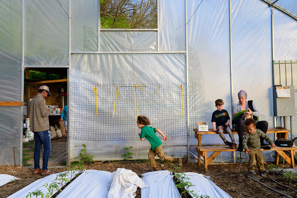 04 Vacant Lots to Urban Farms: Food Justice in Appalachia