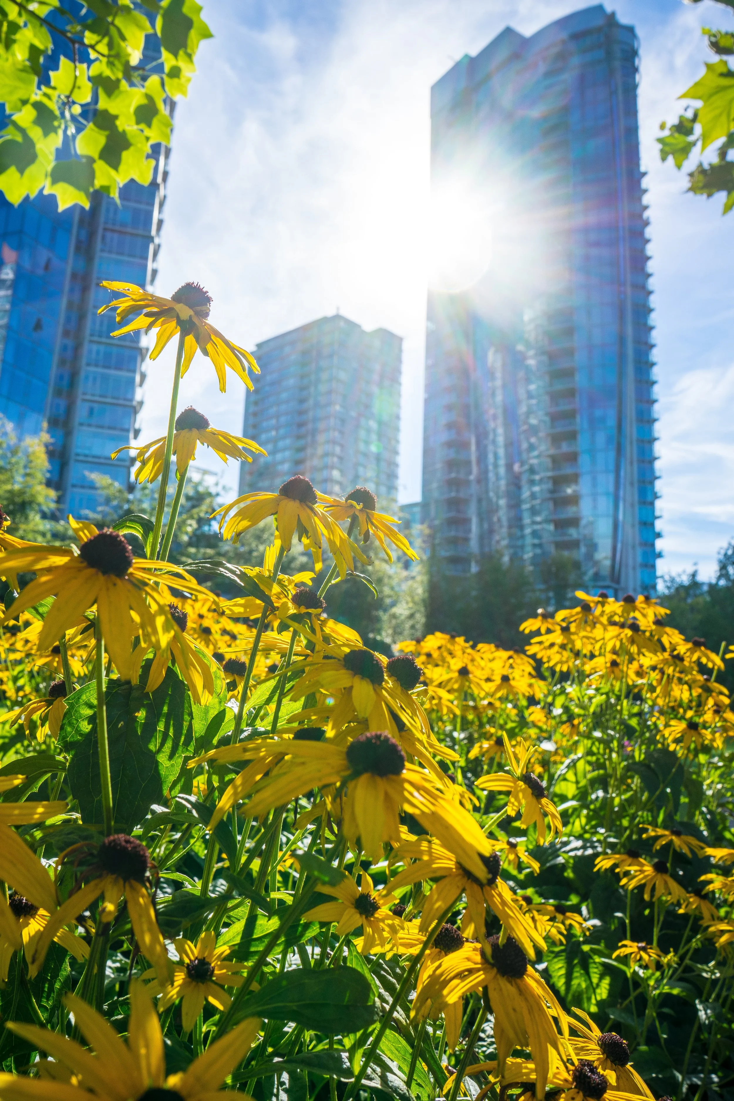 Vancouver-108-min.jpg