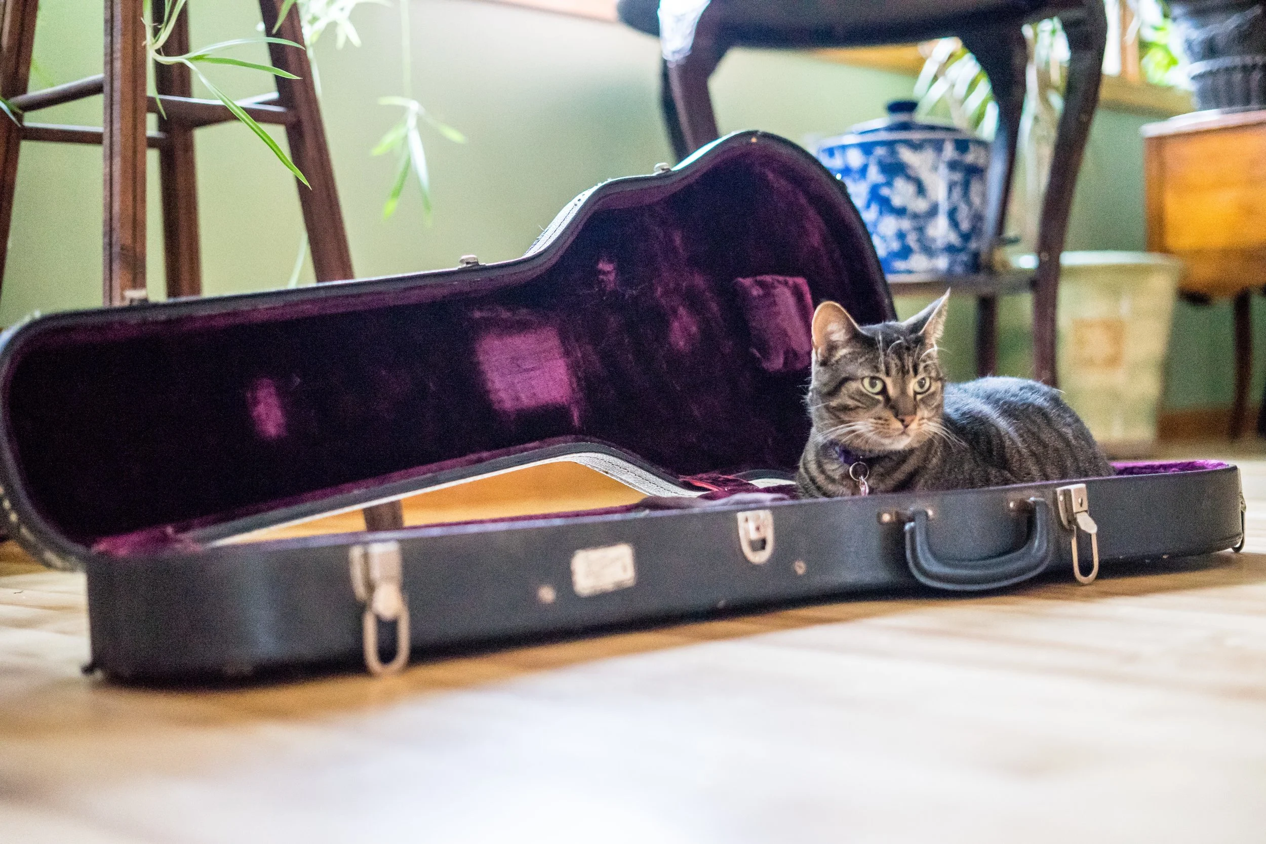 Band_Shoot-4-min.jpg