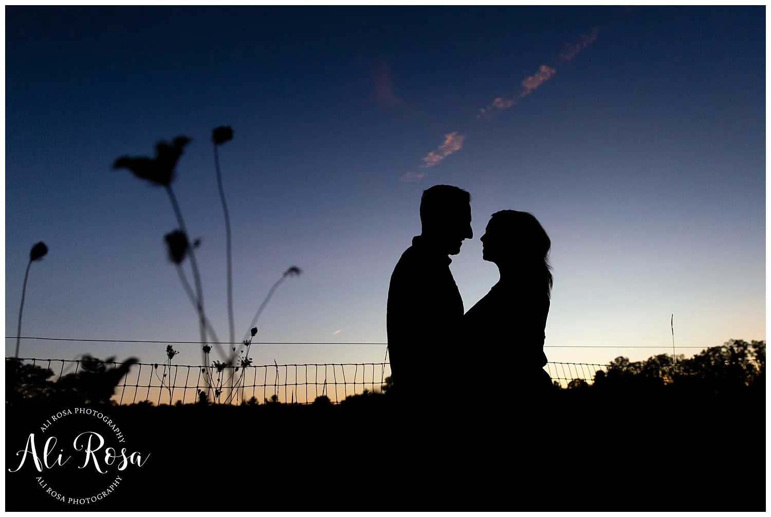 Boston engagement photos Ponyhenge Halloween_39.jpg