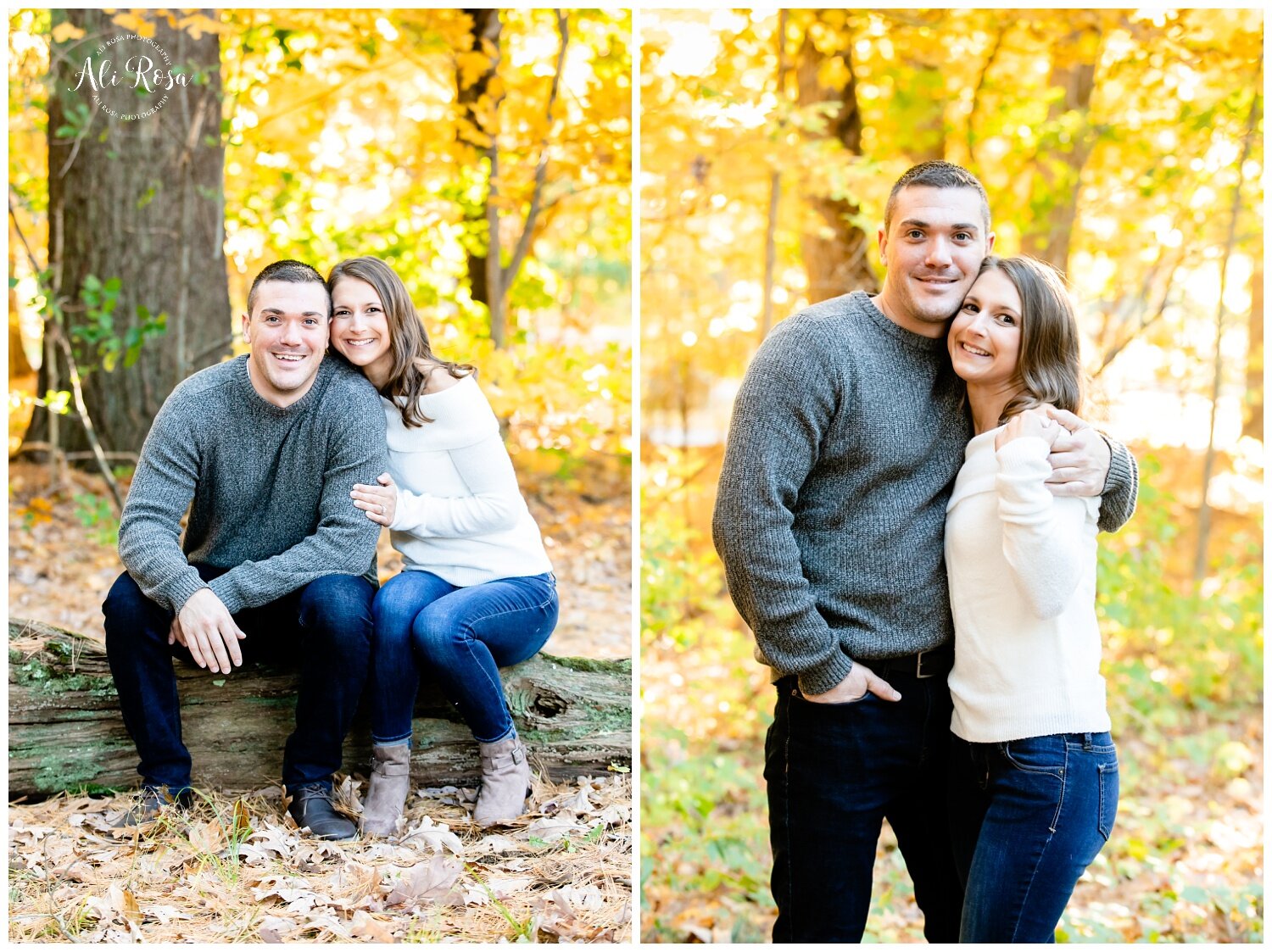 Elm Bank engagement photos Boston wedding Photographer Ali Rosa004.jpg