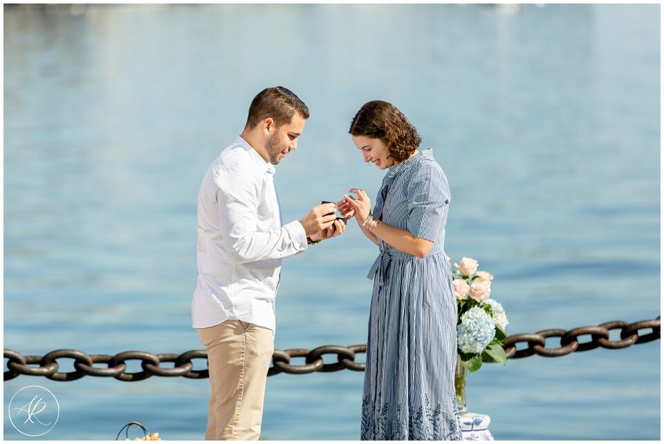 Ali Rosa Boston proposal wedding photographer_12.jpg