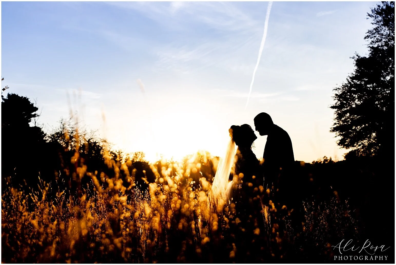 Ali Rosa Photography Wedding Eustis Estate Milton Boston _041.jpg