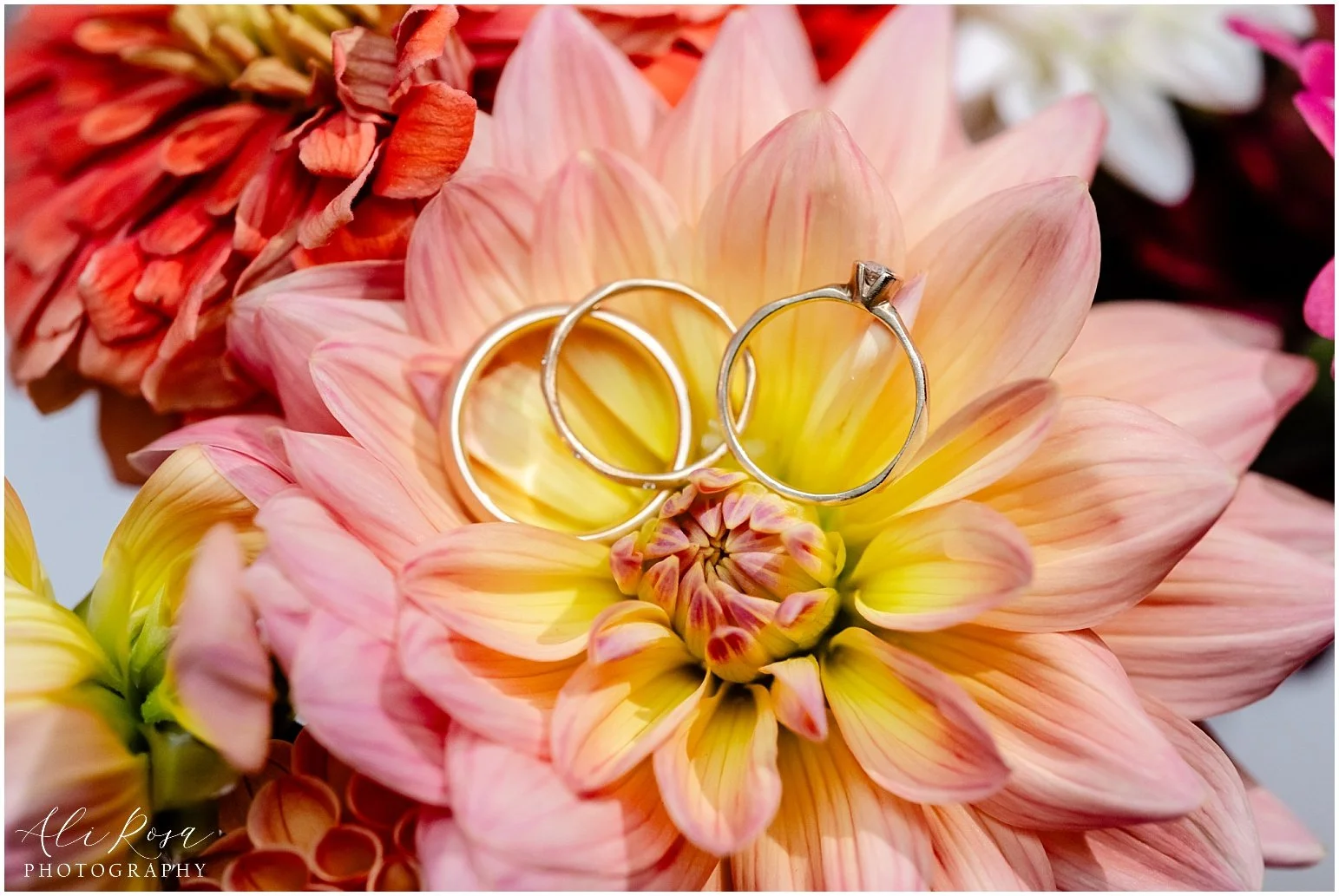 Ali Rosa Photography Wedding Eustis Estate Milton Boston _048.jpg