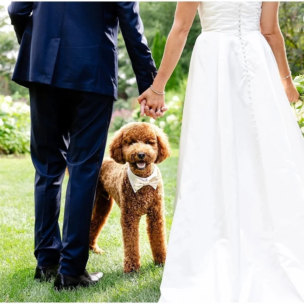 Weddings  |  Brit &amp; Mark  |  Elm Bank, Wellesley, MA