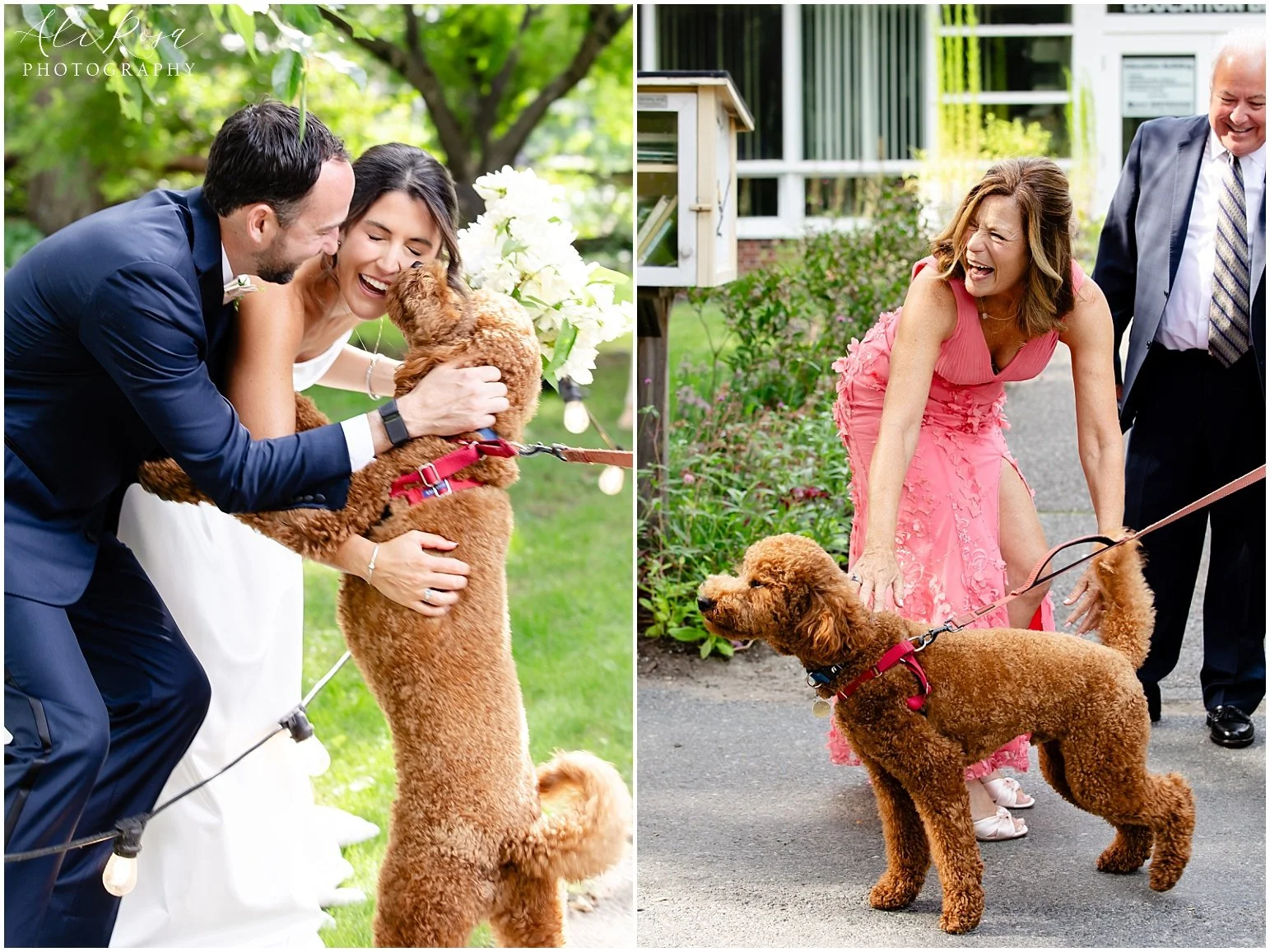 Ali Rosa Photography Elm Bank Wedding Boston Wellesley_182.jpg