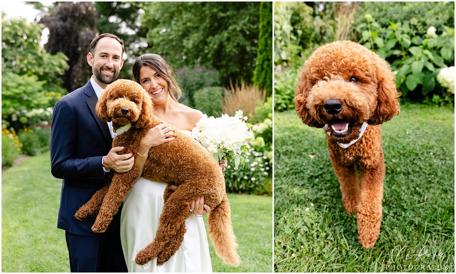 Ali Rosa Photography Elm Bank Wedding Boston Wellesley_195.jpg