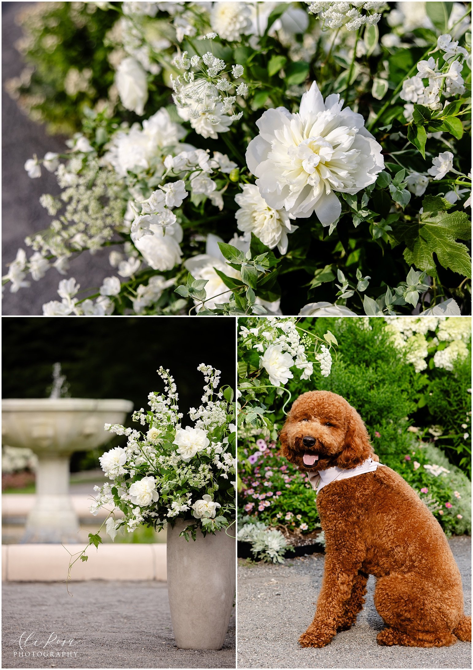 Ali Rosa Photography Elm Bank Wedding Boston Wellesley_211.jpg