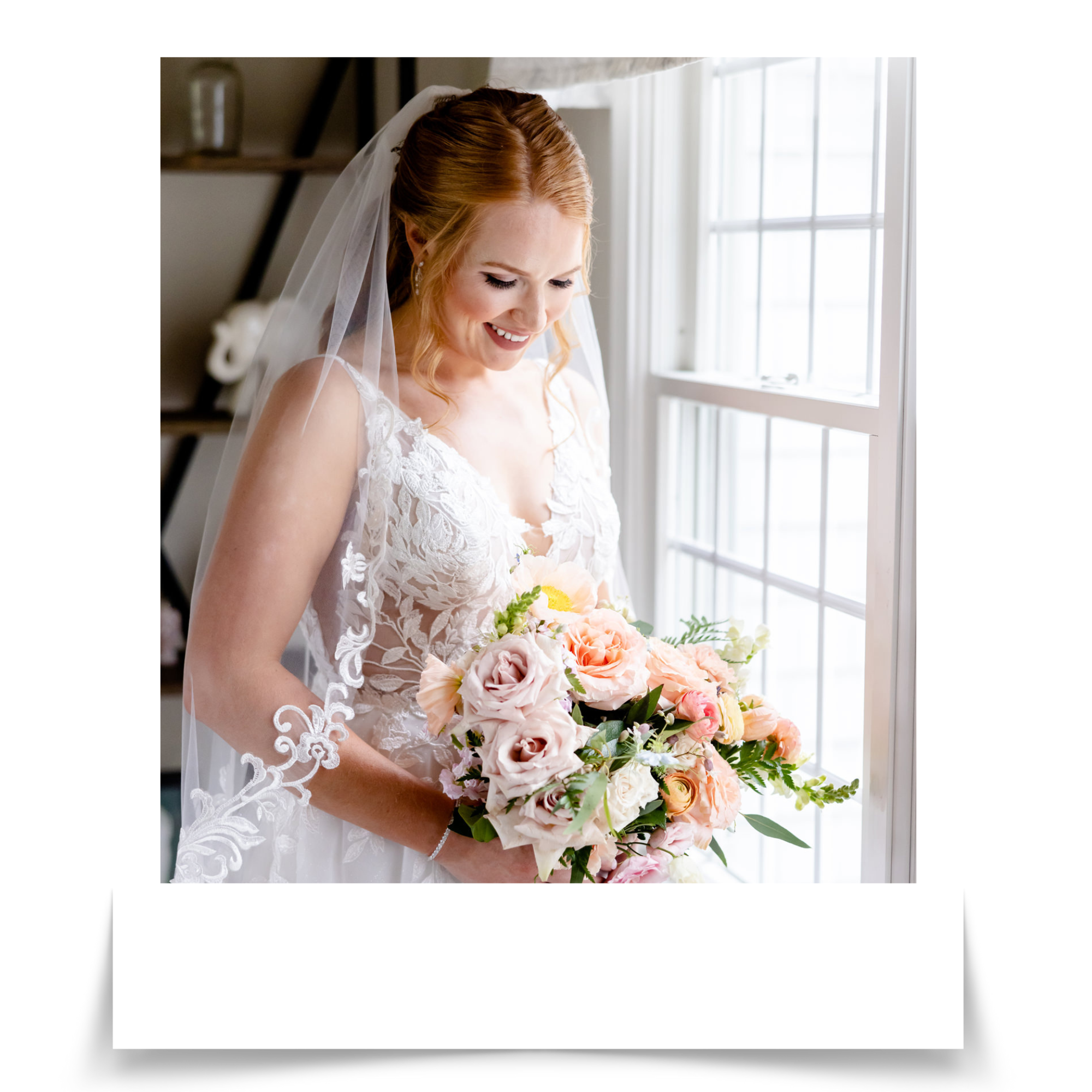Ali Rosa Photography || Boston Massachusetts, Cape Cod, Newport ...