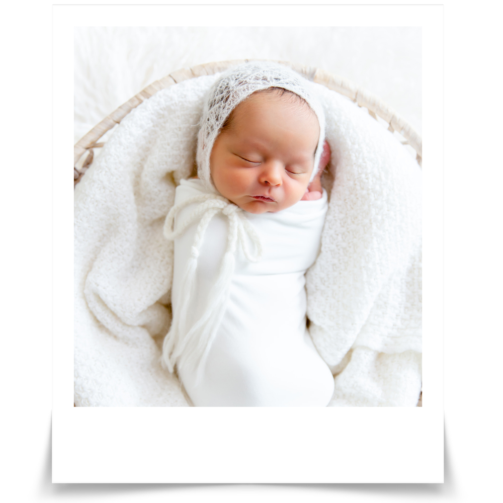 Ali Rosa Photography || Boston Massachusetts, Cape Cod, Newport ...