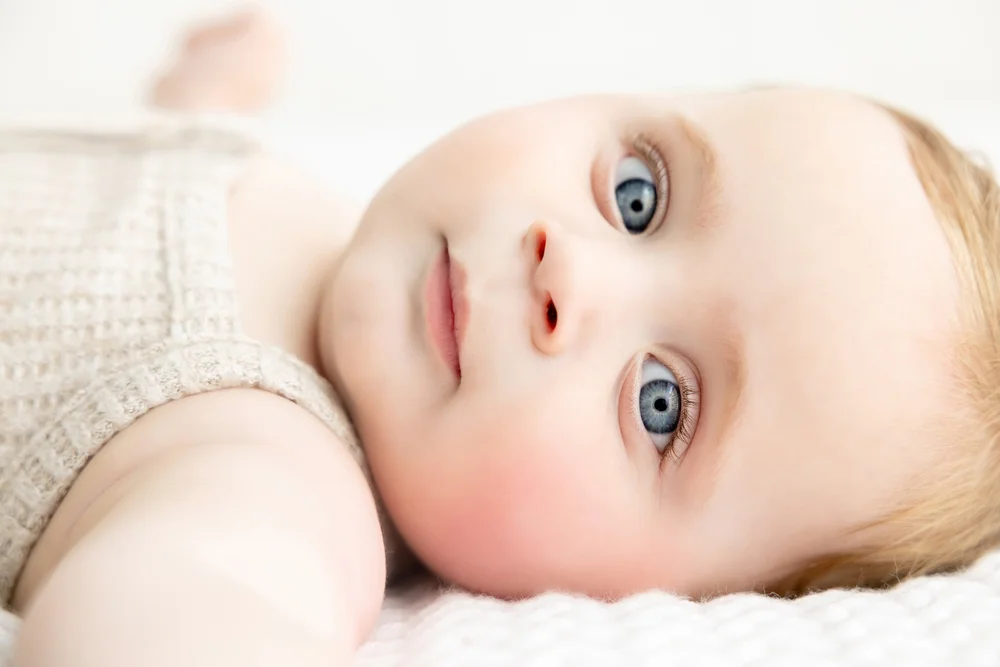 Ali Rosa Photography || Boston Massachusetts, Cape Cod, Newport ...