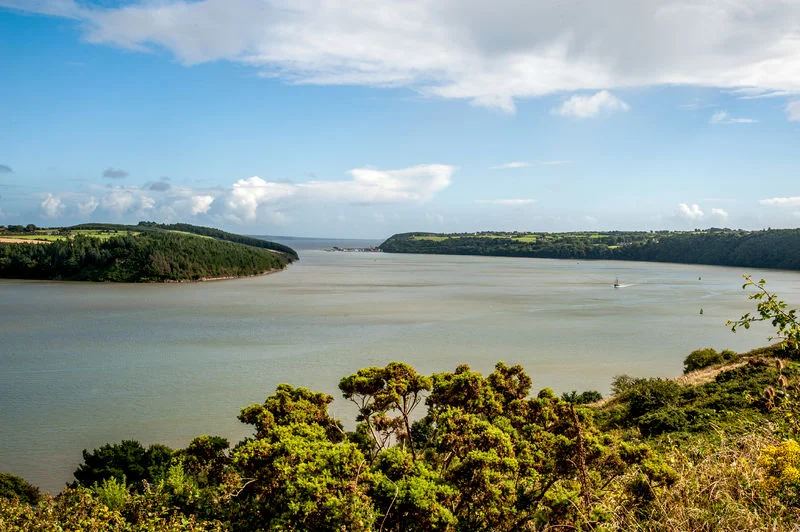 Waterford Estuary.jpg