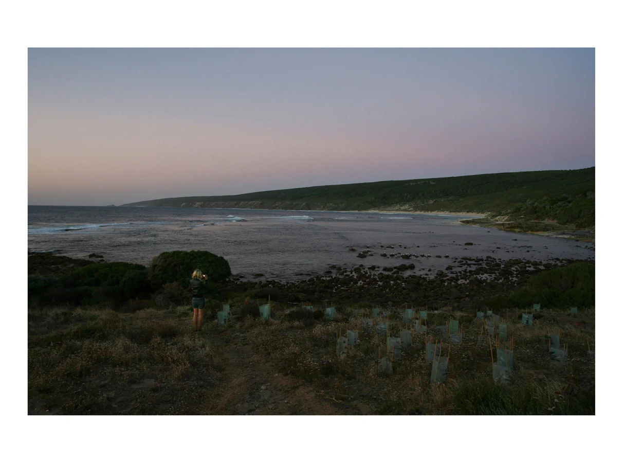 Recorda (Holly) (Dunsborough, Australia, 2010) by Johnny Green (31 x 41cm) Price: £200 Size: 12.2 H x 16.2 W x 0.8 in This is the 1st of 21 Limited Edition C-type Lambda prints, encased in a beautiful, silver metallic frame. The matt photograph has an elegant off white mount which is signed and numbered by the artist.