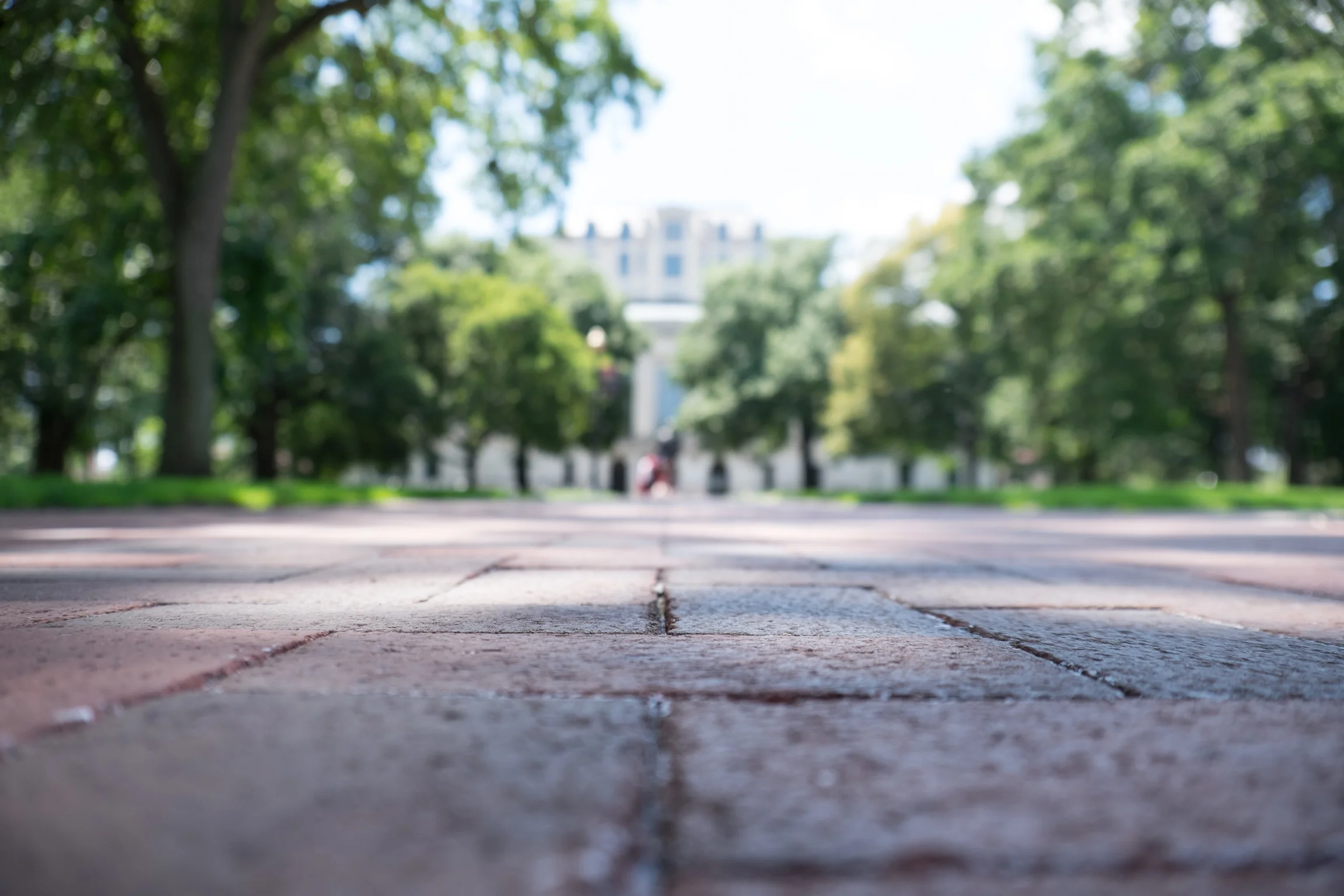 Ohio-State-Oval-Walkway-Perspective.jpg