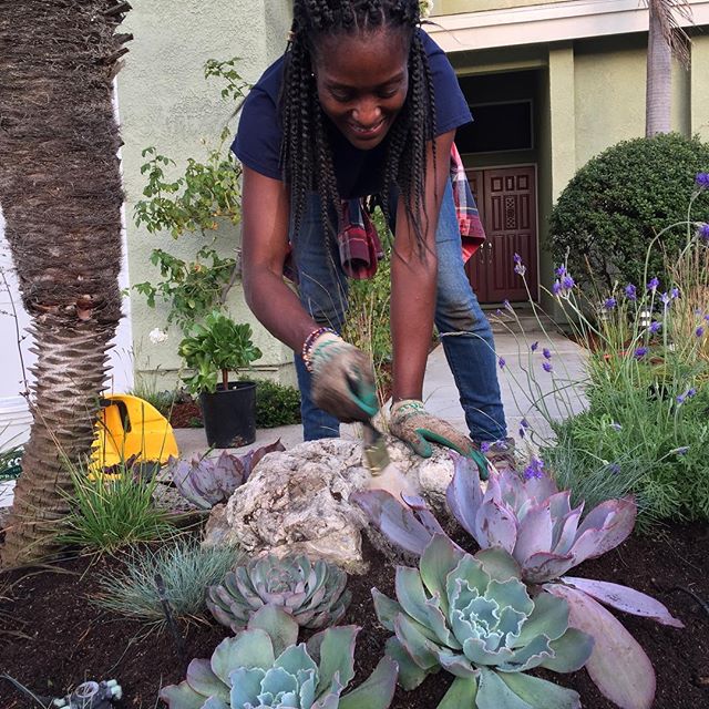 Our latest garden was a success due in no small part to design and succulent expertise from  @garden.butterflyla 🦋 Thank you 🦋 and we look forward to the next collaboration! #gardendesign #succulents #Landscapedesign #Teamwork #gardens #gardening #