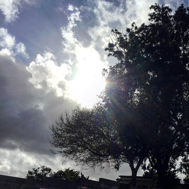 The moment the sun breaks through the sky chasing our seldom seen rain &bull;&bull;&bull;&bull; Good Morning 
#TwoGunsParkingLot @twogunsespresso #sky #clouds #SouthBay ##ManhattanBeach #SoCal #Beach #Garden #Tree #Eucalyptus #eucalyptustrees