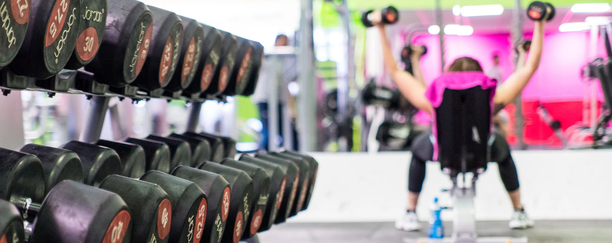 banner_0008_f4l_slide-01.jpg