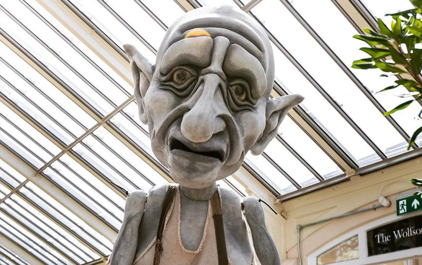 Gnomus in Kew Gardens, 2018.