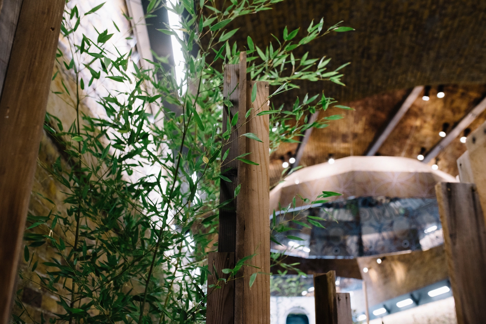 New Forms Gardens 28.jpg