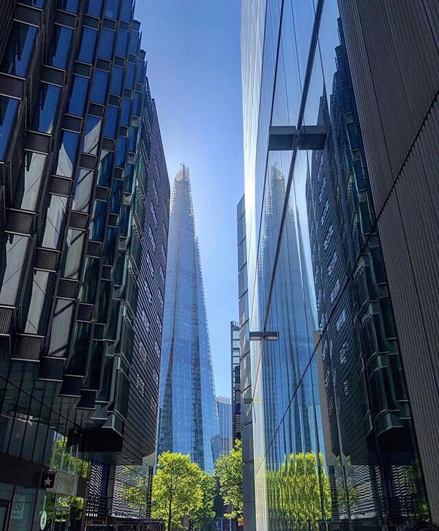 🌳💙 #LondonBridgeCity reflections captured by @locallondongems #lovelondonbridge .
.
.
.
.
.
.
#theshard #lovelondon #igerslondon #lookuplondon #shard #blueskiesandsunshine #morelondon #southlondoner #se1 #southlondon #architecturelovers #glassandst