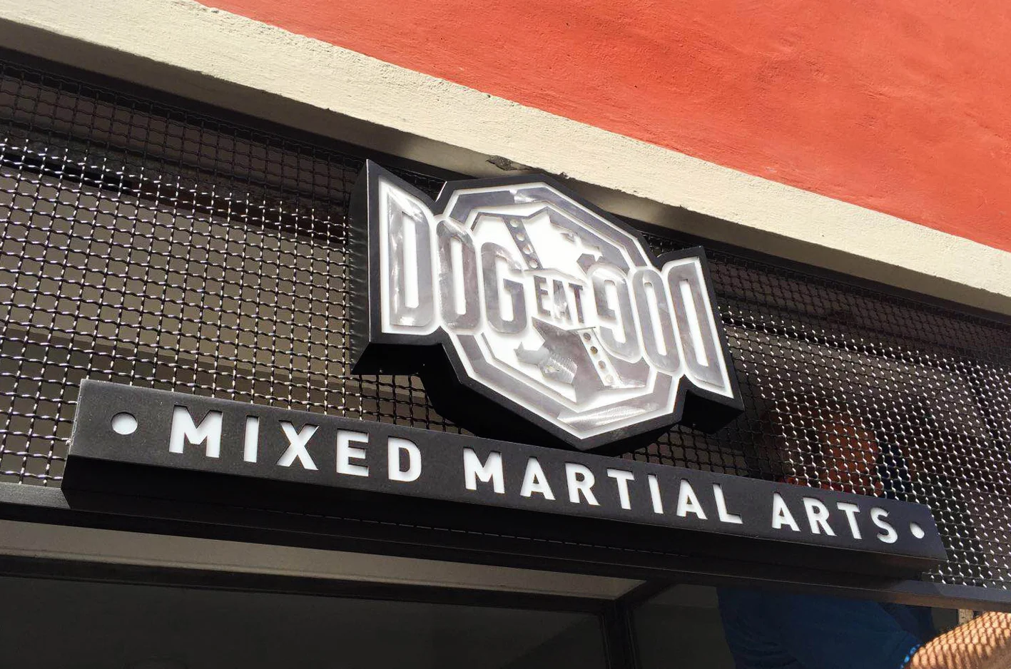 insegna led ferro acciaio vernice.JPG