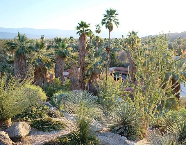 📍 Palm Springs, CA
#CatalinaSwimwear