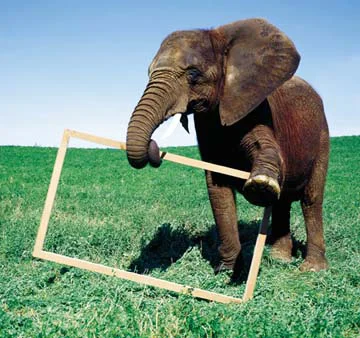 ESFI_Elephant.jpg