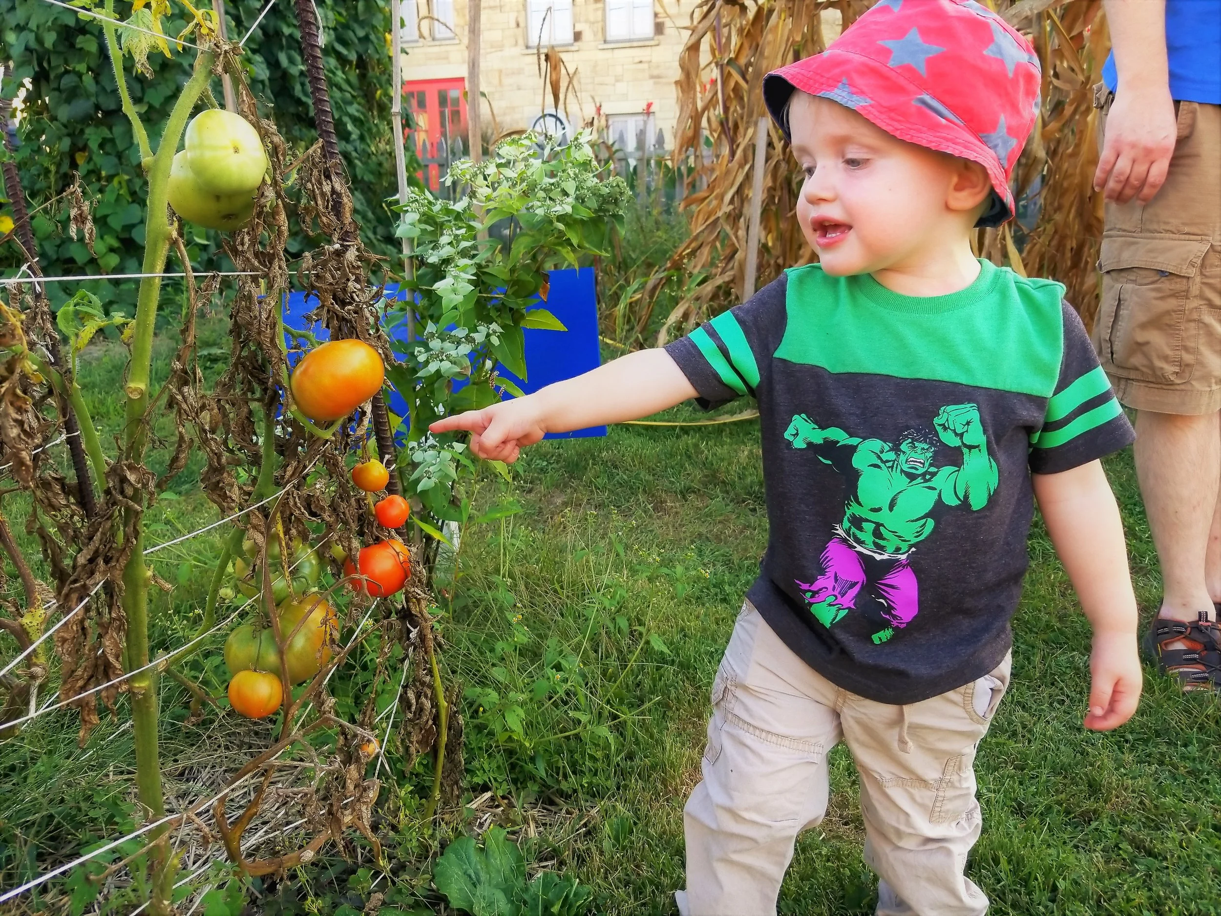 Community Garden — Coraopolis Community Development