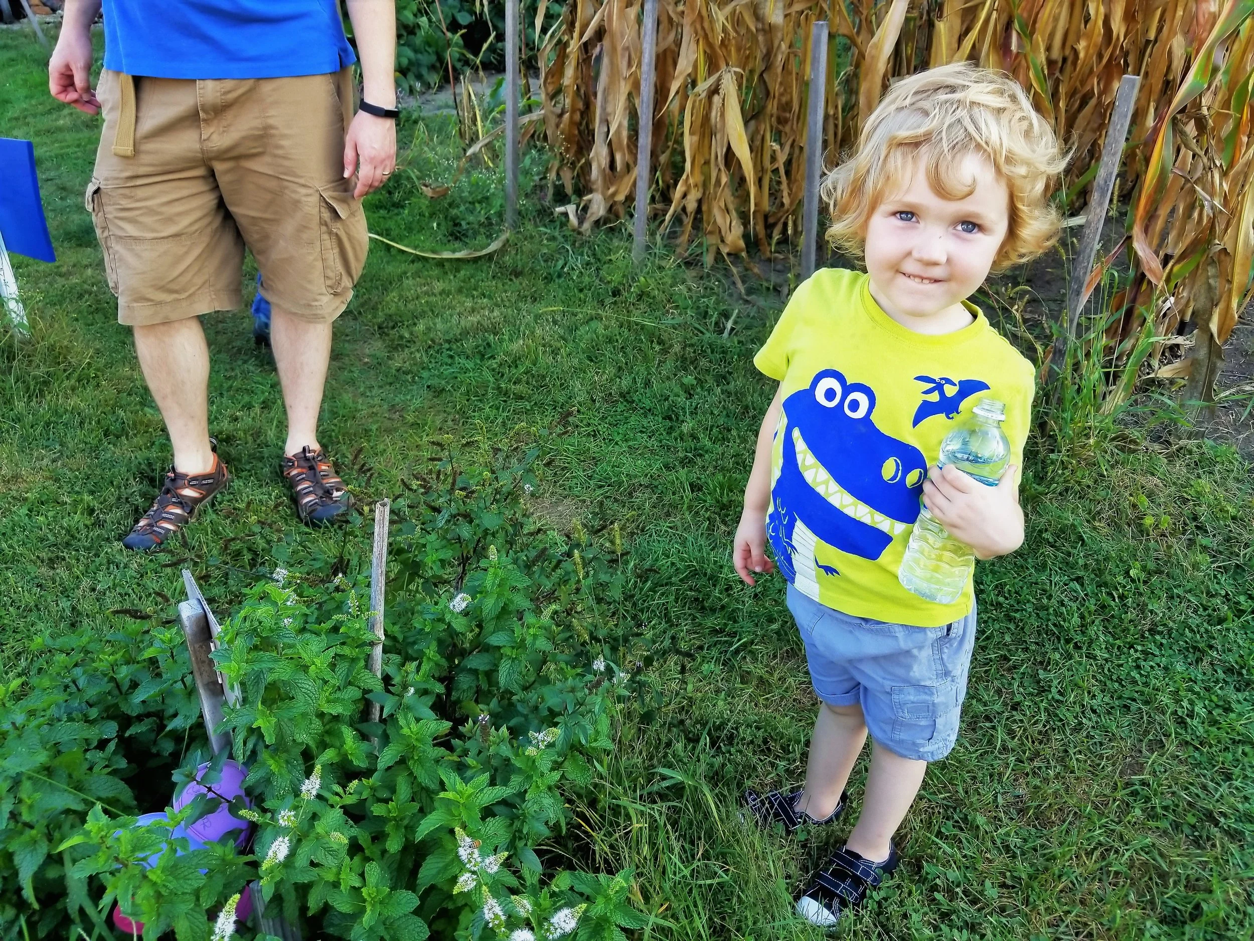 Community Garden — Coraopolis Community Development
