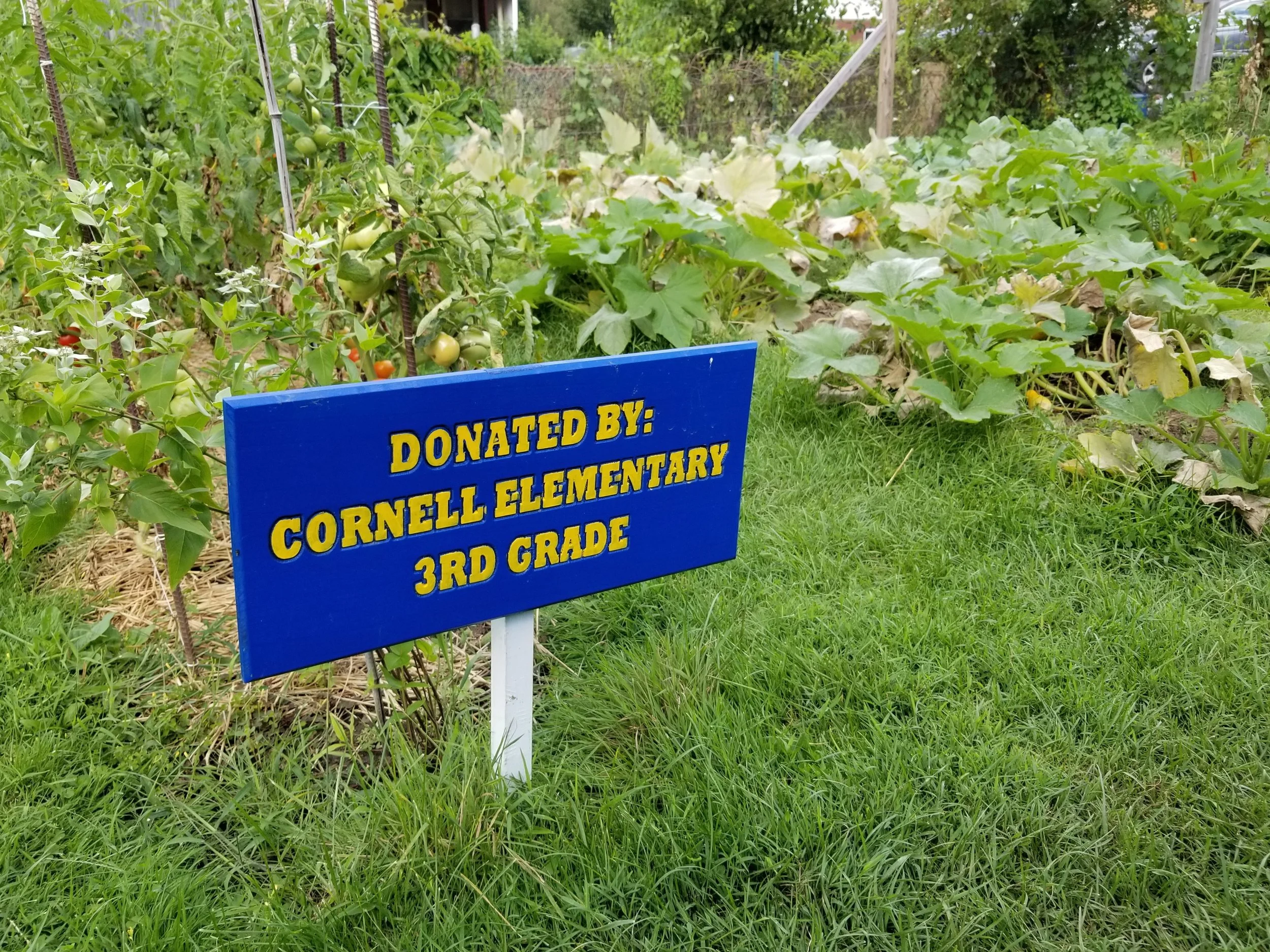 20170805_162059.jpg