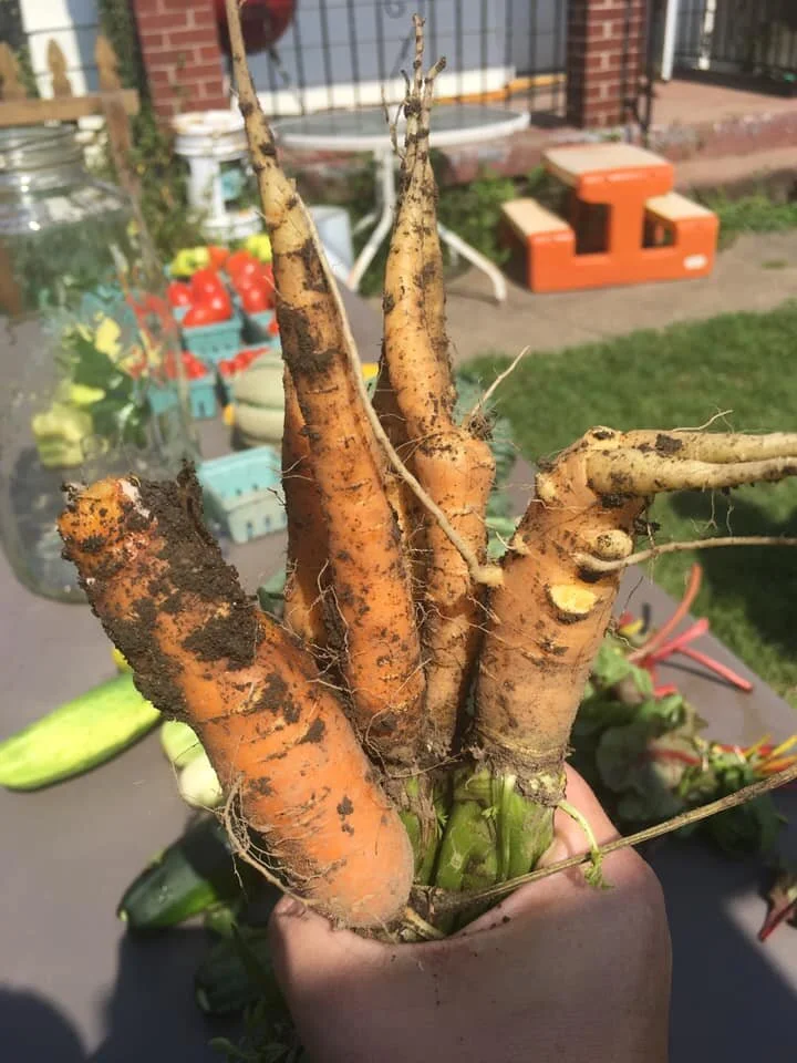 Community Garden — Coraopolis Community Development