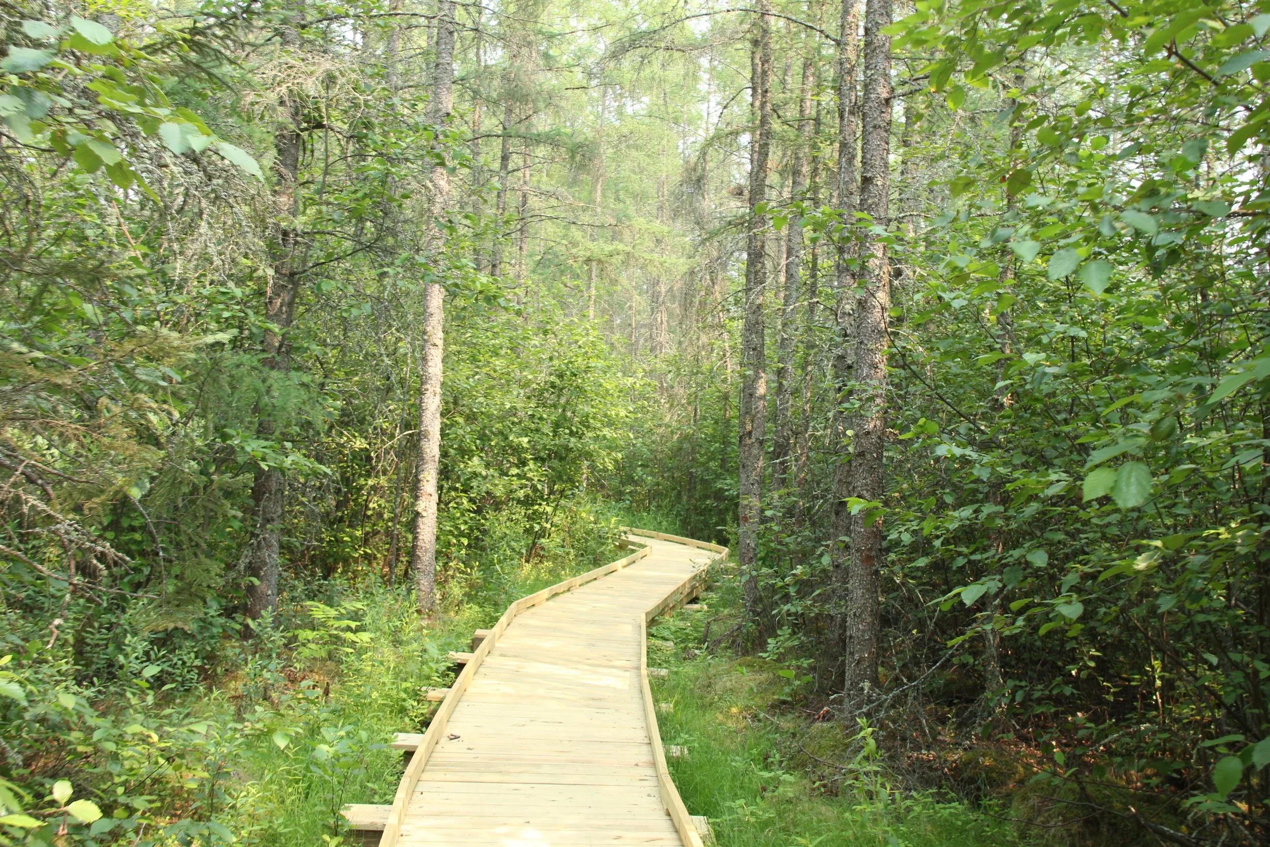 Experiencing God in Wilderness -pastor's column March 2023