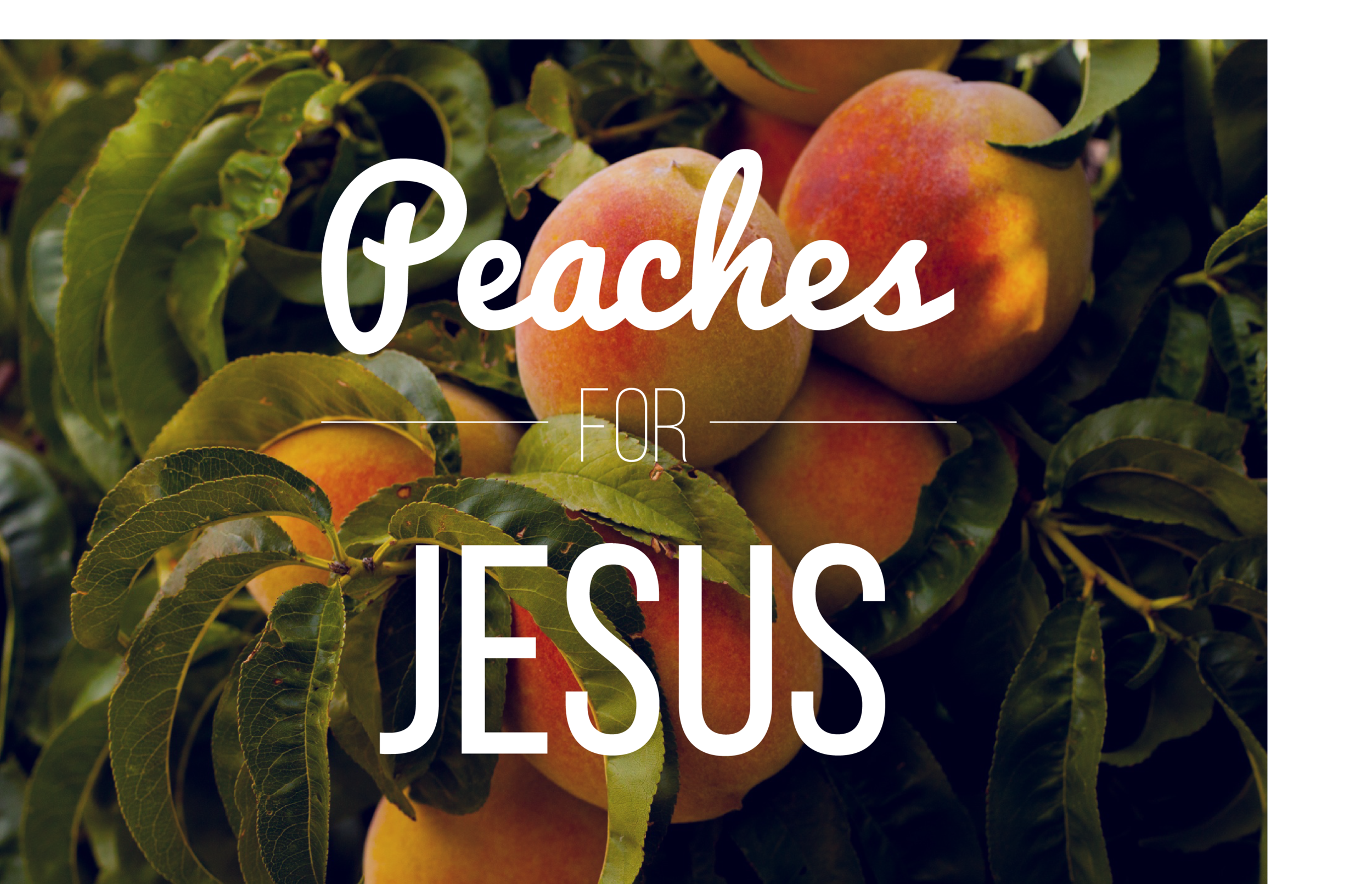 Peaches-Blog-1.png