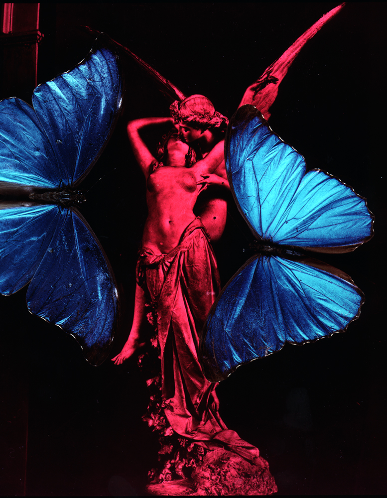 two morphos2.jpg